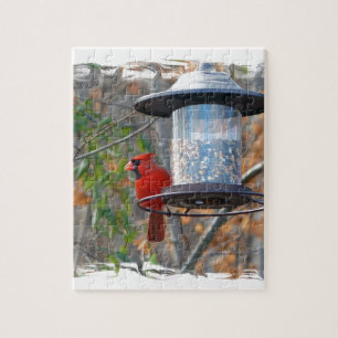 Male Cardinal Jigsaw Puzzle
