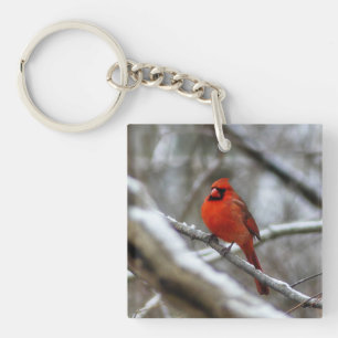 Male Cardinal Key Ring