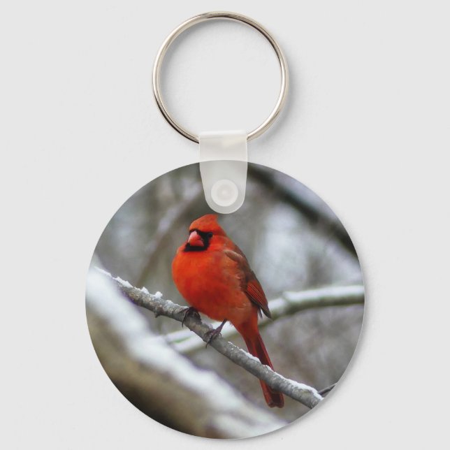 Male Cardinal Key Ring (Front)