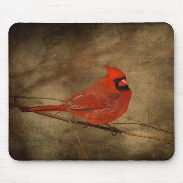 Male Cardinal Mousepad (Front)