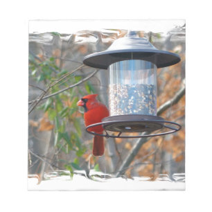 Male Cardinal Notepad