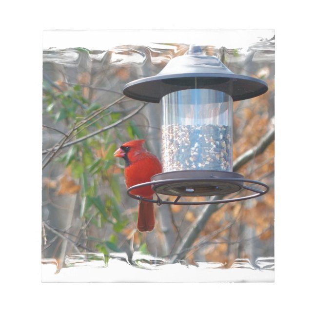Male Cardinal Notepad (Front)