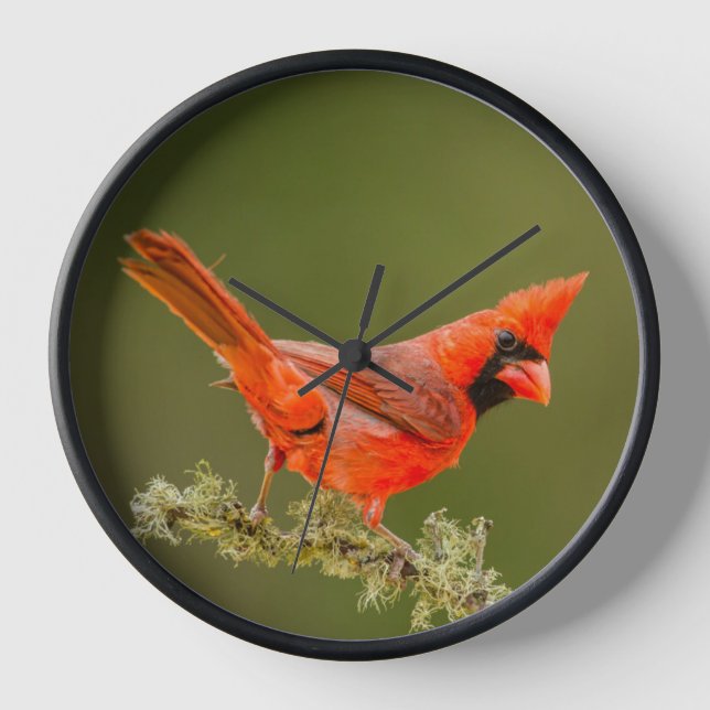 Male Cardinal on Limb Clock (Front)