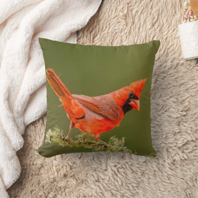 Male Cardinal on Limb Cushion (Blanket)