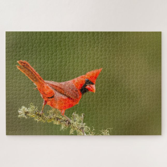 Male Cardinal on Limb Jigsaw Puzzle (Horizontal)