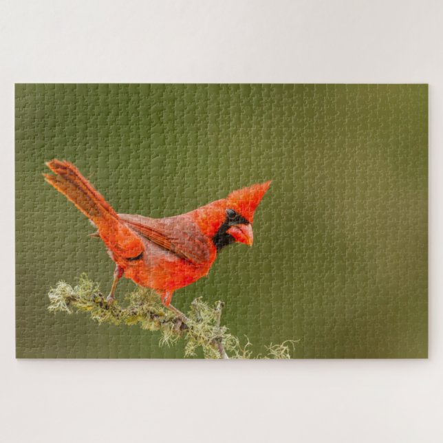 Male Cardinal on Limb Jigsaw Puzzle (Horizontal)