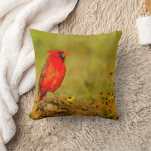 Male Cardinal on Log Cushion