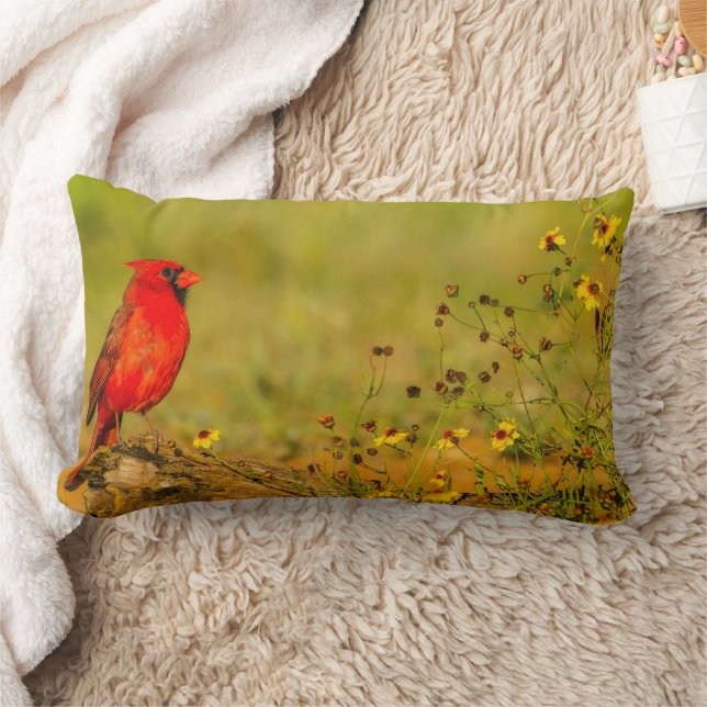 Male Cardinal on Log Lumbar Cushion (Blanket)