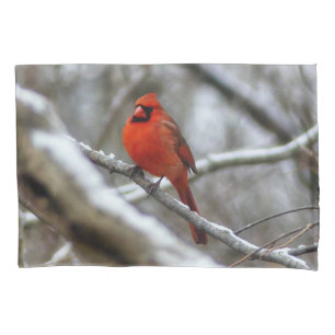 Male Cardinal Pillowcase