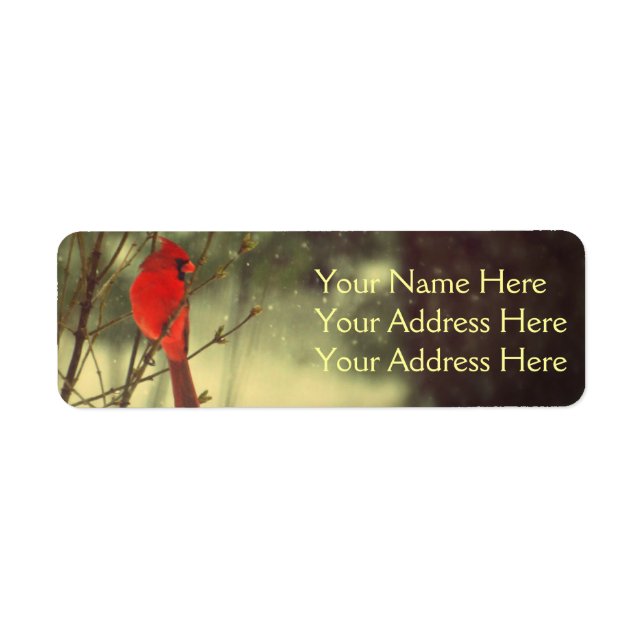 Male Cardinal Return Address Label (Front)
