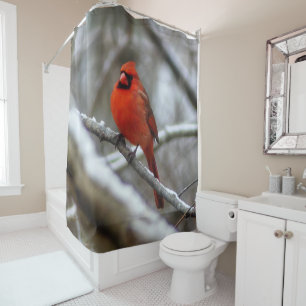 Male Cardinal Shower Curtain
