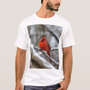 Male Cardinal T-Shirt