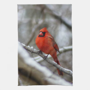 Male Cardinal Tea Towel