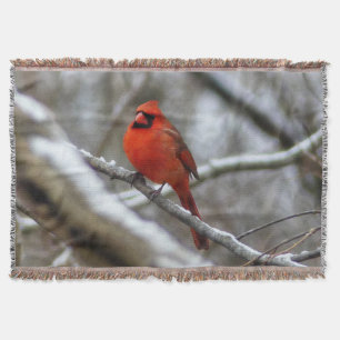Male Cardinal Throw Blanket