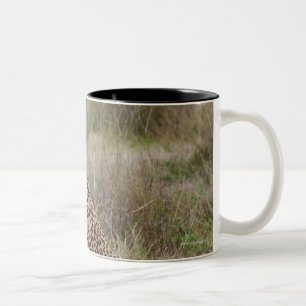 male Cheetah, Acinonyx jubatus, Serengeti, Two-Tone Coffee Mug