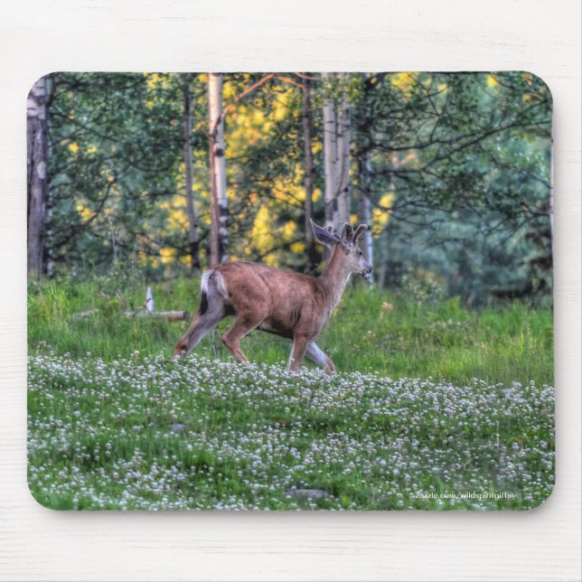 Male Deer Buck on Ranch Wildlife Photo Mouse Pad (Front)