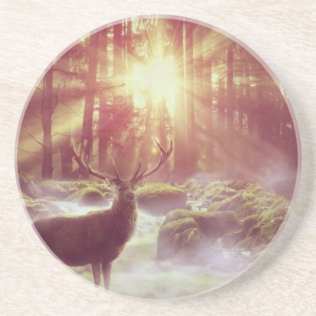 Male Deer in Misty Woods at Sunrise Golden Hour Coaster (Front)
