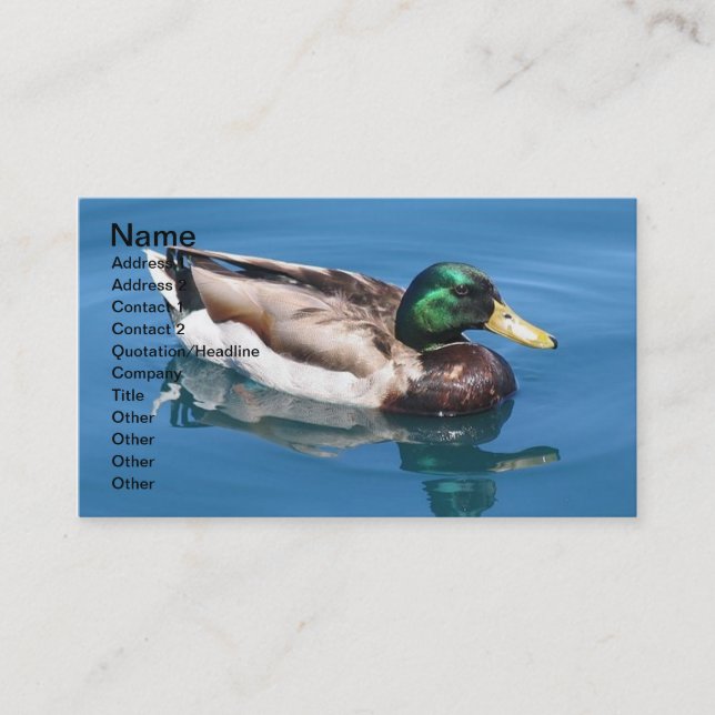Male Duck Business Card (Front)