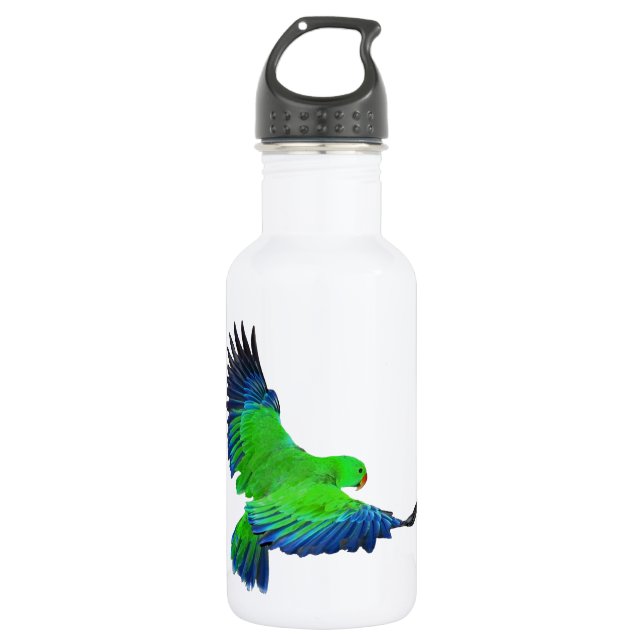 Male Eclectus 532 Ml Water Bottle (Front)