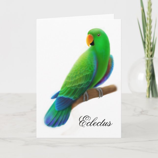 Male Eclectus Parrot Greeting Card (Front)