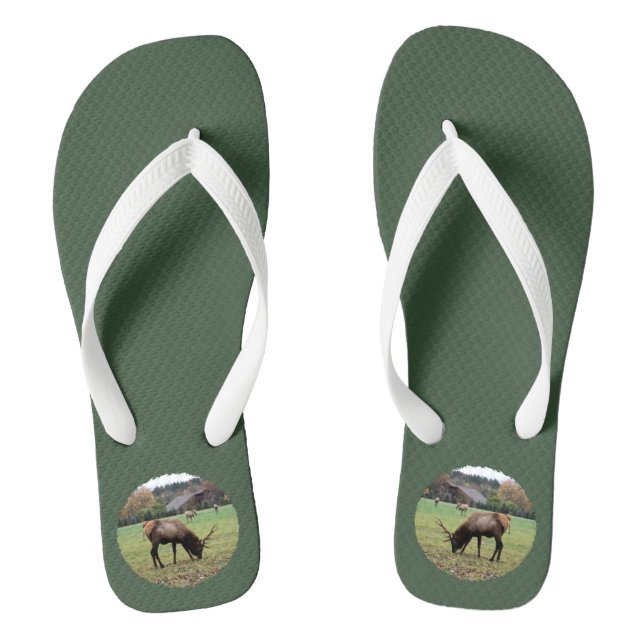 Male Elk Antlers Photo Grazing in Field Green Thongs (Footbed)