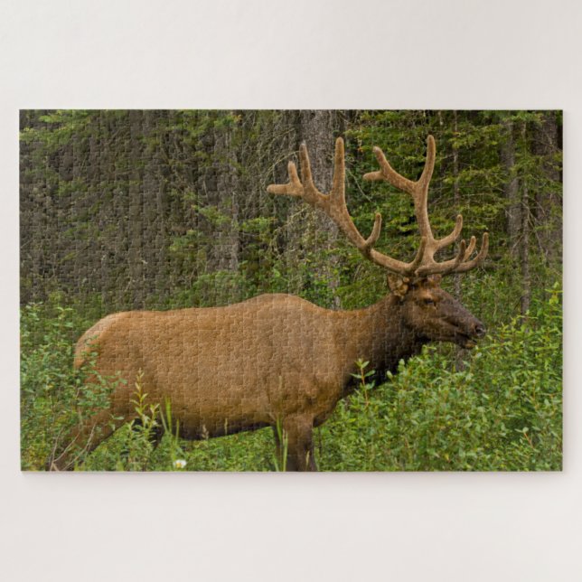 Male Elk | Banff National Park, Alberta, Canada Jigsaw Puzzle (Horizontal)