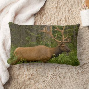Male Elk Banff National Park, Alberta, Canada Lumbar Cushion