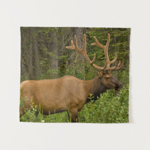 Male Elk Banff National Park, Alberta, Canada Tapestry