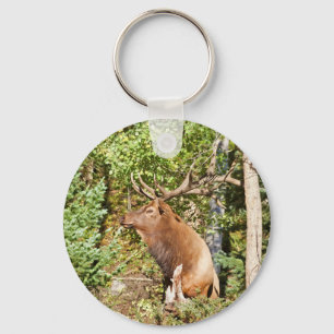 Male Elk in Rocky Mountain National Park Key Ring