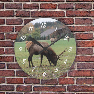 Male Elk Photograph Antlers Field Autumn Round Clock