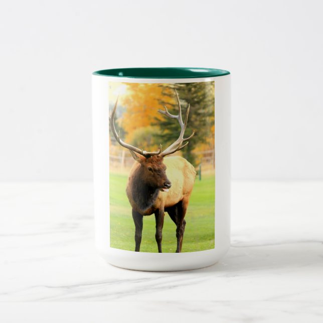 Male Elk With Tongue Out Two-Tone Coffee Mug (Center)