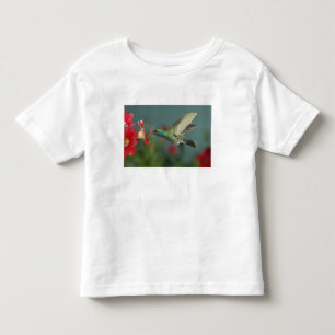 male feeding on Petunia, Madera Canyon, Arizona, Toddler T-Shirt