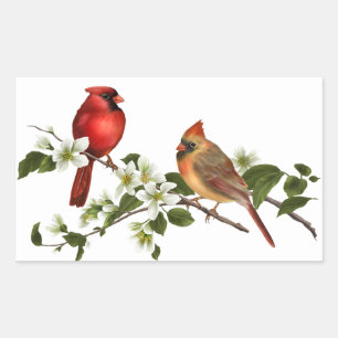 Male Female Cardinals Dogwood Blossoms Branch Rectangular Sticker