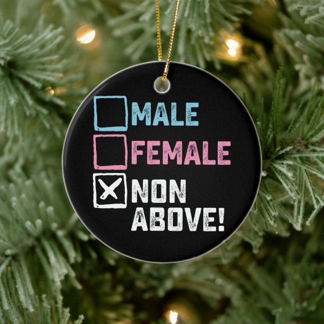 Male Female Non Above! Funny Transgender Gays  Ceramic Ornament (Tree)