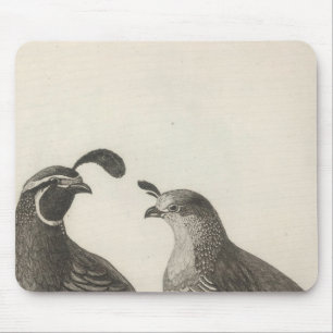 Male & Female Partridge of California Mouse Pad