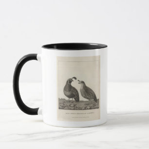 Male & Female Partridge of California Mug