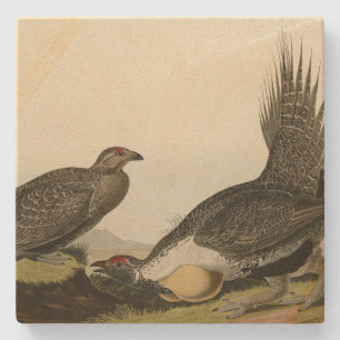 (Male Fowl) of the Plains Audubon Birds of America Stone Coaster