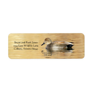 Male Gadwall Duck Return Address Label
