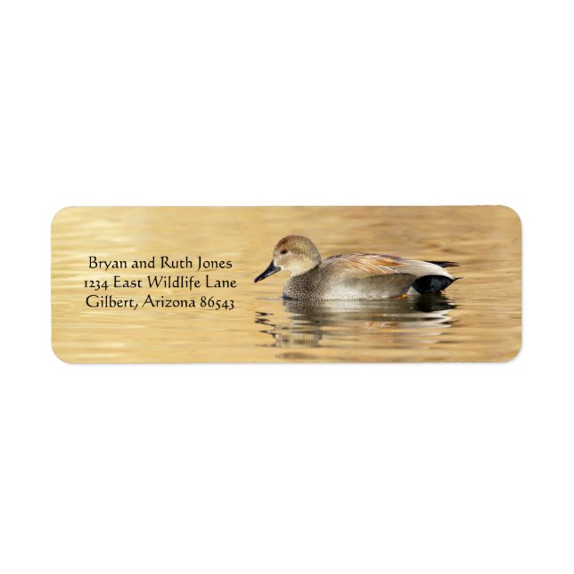Male Gadwall Duck Return Address Label (Front)