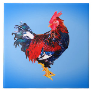 male gallinaceous ,rooster ceramic tile