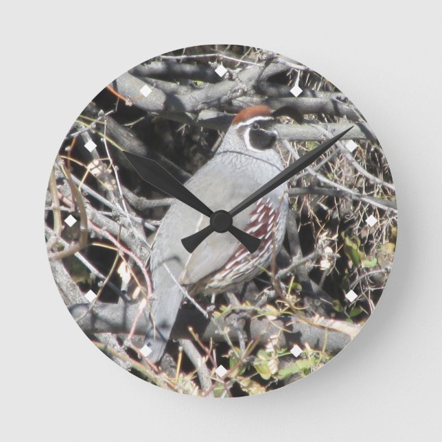 Male Gambel's Quail Clock (Front)