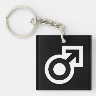 Male gender arrow symbol public WC men's toilet Key Ring