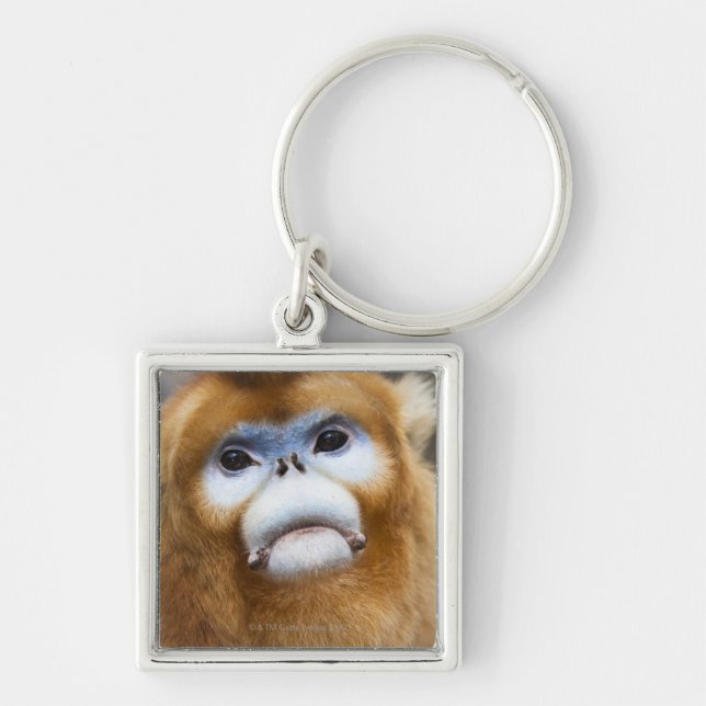 Male Golden Monkey Pygathrix roxellana Key Ring (Front)
