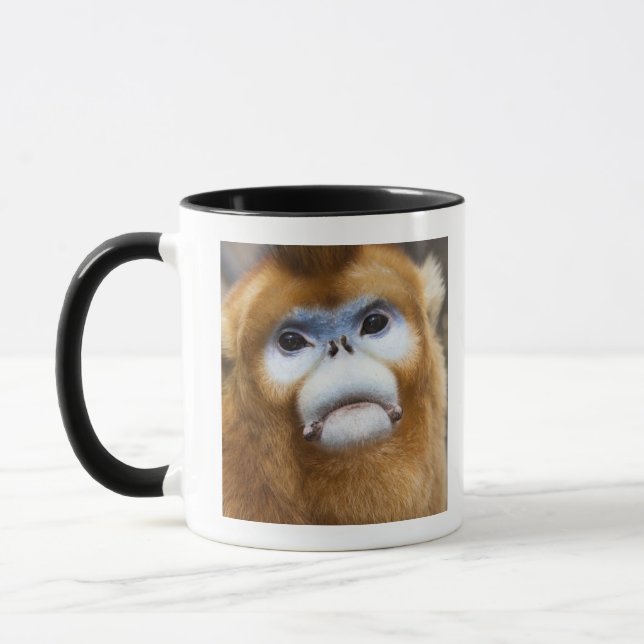 Male Golden Monkey Pygathrix roxellana Mug (Left)