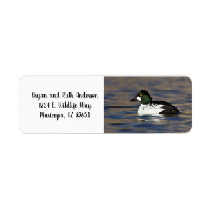 Male Goldeneye duck Return Address Label