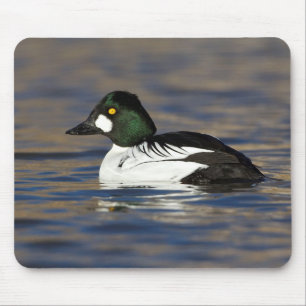 male goldeneye mouse pad