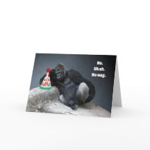 Male Gorilla Won't Wear the Party Hat Birthday