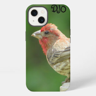 Male House Finch Case-Mate iPhone Case