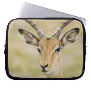Male impala with beautiful horns in soft light laptop sleeve
