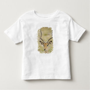 Male impala with beautiful horns in soft light toddler T-Shirt